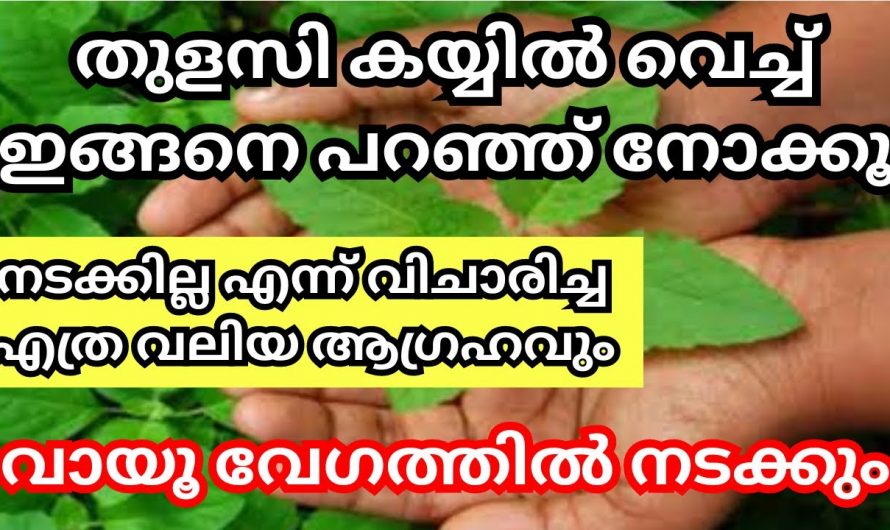 നിങ്ങളുടെ ഏത് ആഗ്രഹവും നടക്കുവാൻ തുളസി കതിർ കൊണ്ട് ഈ വിദ്യ ചെയ്തു നോക്കൂ…