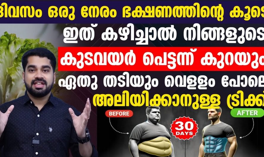 വണ്ണം കുറയ്ക്കാൻ ഇതാ ഡോക്ടർ പറഞ്ഞുതരുന്ന ഒരു കിടിലൻ വഴി,100% റിസൾട്ട് കിട്ടും…