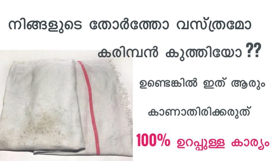 എത്ര പഴകിയ കരിമ്പൻ കുത്തിയ തുണികളും എളുപ്പത്തിൽ പുതുപുത്തൻ ആക്കി മാറ്റാം…