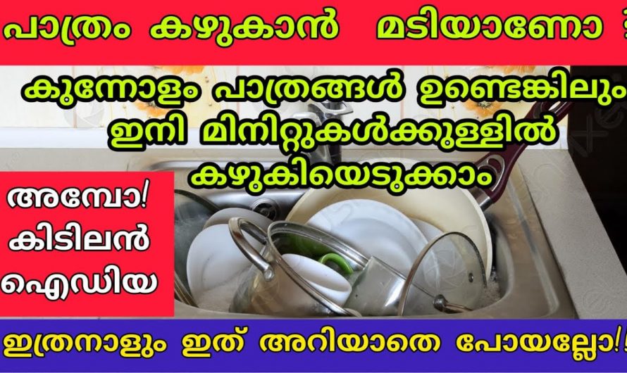 നിങ്ങൾ ഇതുവരെ ഈ സൂത്രങ്ങൾ അറിഞ്ഞില്ലേ! അടുക്കളയിലെ ചില കിടിലൻ ഐഡിയകൾ…