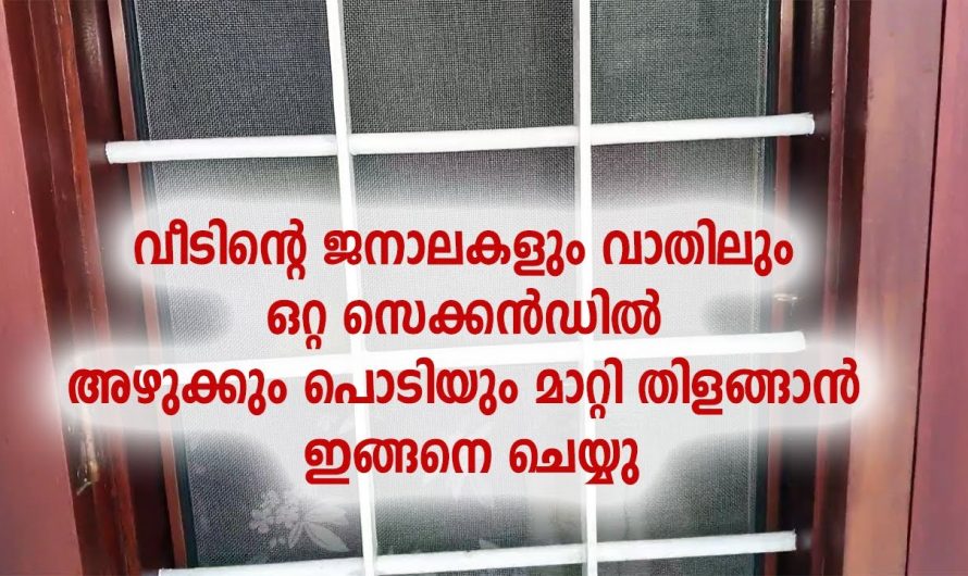 വാതിലുകളും ജനലുകളും ക്ലീൻ ആക്കാൻ ഇനി ബുദ്ധിമുട്ടേണ്ട, ഹാർപിക്ക് ഉണ്ടായാൽ മതി…