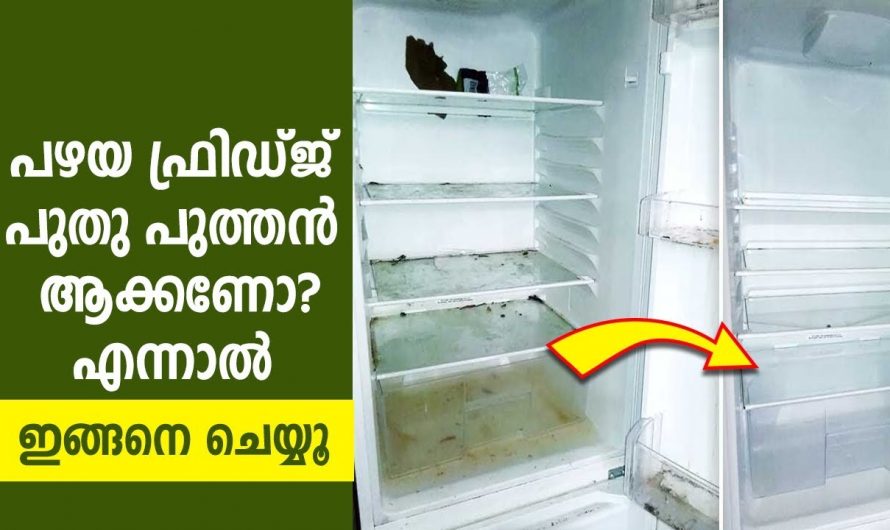 വീട്ടിലെ ടിവിയും ഫ്രിഡ്ജും നിമിഷങ്ങൾക്കുള്ളിൽ വൃത്തിയാക്കാം, ഈ ലായനി മതി…