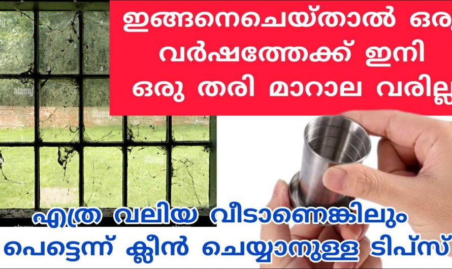 ഇനി എത്ര ദിവസം വീട് ക്ലീൻ ചെയ്തില്ലെങ്കിലും മാറാല വരില്ല, ഈ സൂത്രം ചെയ്തു നോക്കൂ…