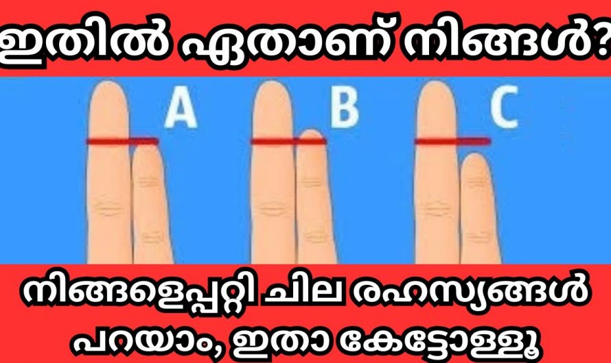 നിങ്ങളെ പറ്റിയുള്ള ഒരു രഹസ്യം നിങ്ങളുടെ കയ്യിലുണ്ട്! അറിയാം അതിനെക്കുറിച്ച്…