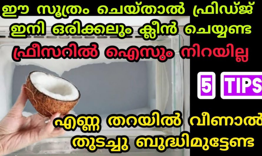 നിങ്ങൾ ഇതുവരെ ഈ ടിപ്പുകൾ അറിഞ്ഞില്ലേ! ഒരൊറ്റ പ്രാവശ്യം ചെയ്തു നോക്കൂ…