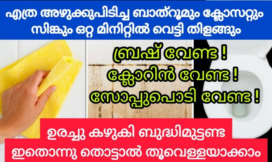 ബ്രഷ് കൊണ്ട് ഉരക്കാതെ തന്നെ ക്ലോസറ്റും ടൈലും എല്ലാം പുതു പുത്തൻ ആക്കാം, കിടിലൻ ടെക്നിക്ക്👌