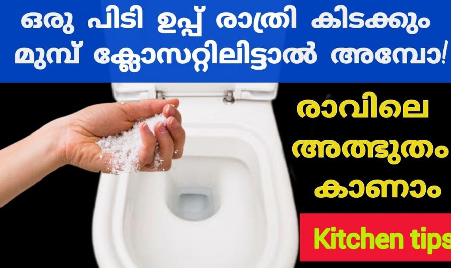 ആരെയും ഞെട്ടിക്കും ഉപ്പിന്റെ ഉപയോഗങ്ങൾ, ഒന്ന് ട്രൈ ചെയ്തു നോക്കൂ…