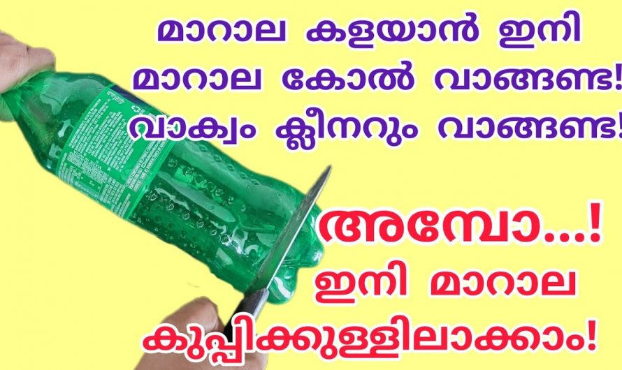 ഇനി എത്ര വലിയ വീടും ഒറ്റയ്ക്ക് വൃത്തിയാക്കാം, ഈ ഒരു കാര്യം അറിഞ്ഞാൽ മതി…