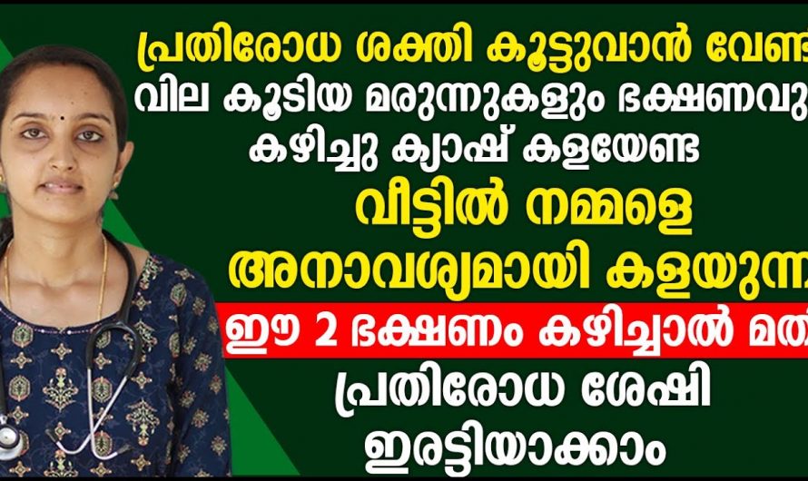 ഇടയ്ക്കിടെ രോഗങ്ങൾ വരുന്നവർ ഈ ഭക്ഷണങ്ങൾ ശീലമാക്കു, പ്രതിരോധശേഷി വർദ്ധിപ്പിക്കാം…