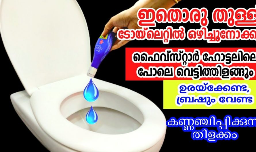 ഇനി എത്ര കറപിടിച്ച ടോയ്‌ലറ്റും വാഷ്ബേസിനും തൂവെള്ളയാക്കാൻ ഈ ലിക്വിഡ് മതി…