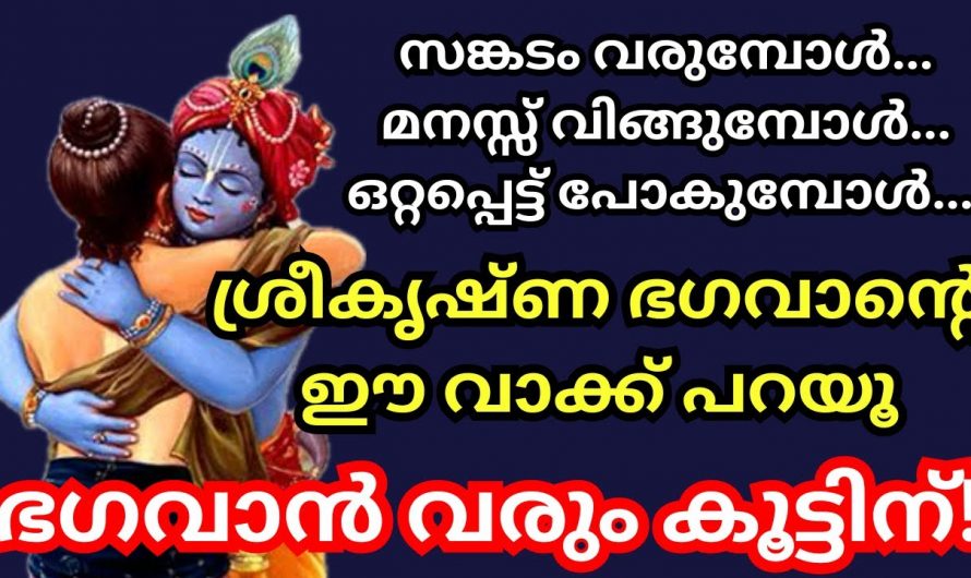 ഈ മന്ത്രം ചൊല്ലി ശ്രീകൃഷ്ണ ഭഗവാനെ വിളിച്ചാൽ ഭഗവാൻ നിങ്ങളുടെ മുന്നിൽ പ്രത്യക്ഷപ്പെടും!