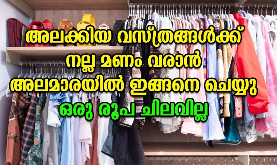 മഴക്കാലത്തെ തുണികളിലെ പൂപ്പൽ മണം അകറ്റാനായി ഇതാ ഒരു അടിപൊളി സൂത്രം👌