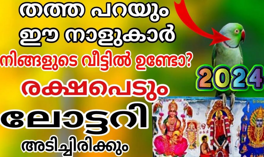 ഈ ഏഴു നാളുകാർക്ക് ലോട്ടറി ഭാഗ്യം, ഇവർ 2024 ലെ കോടീശ്വരന്മാർ…