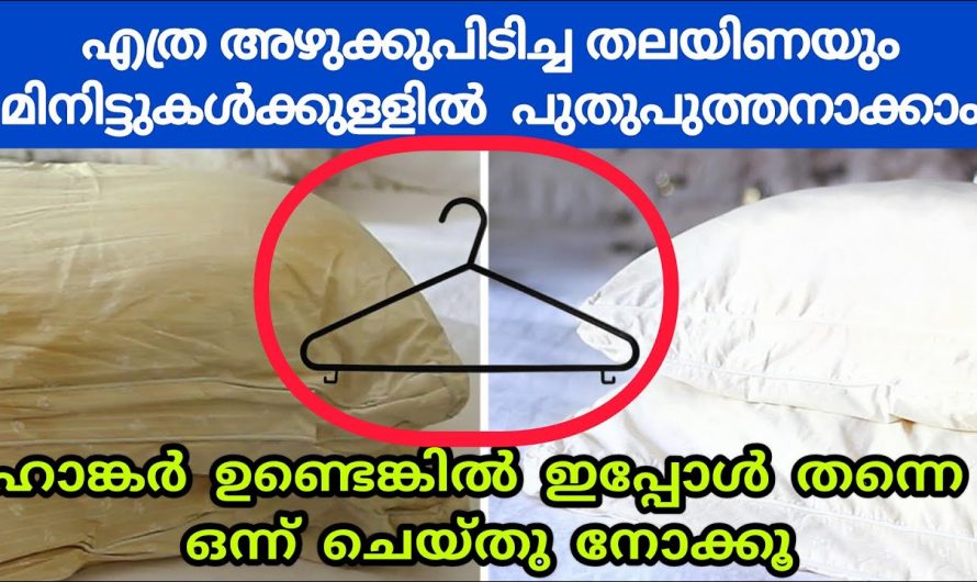 എത്ര പഴകിയ കറപിടിച്ച തലയിണയും പുതു പുത്തനായി കിട്ടാൻ ഇതാ ഒരു അടിപൊളി സൂത്രം👌