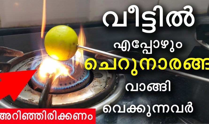 ആരും പറഞ്ഞു തരാത്ത ചെറുനാരങ്ങയുടെ വ്യത്യസ്ത ഉപയോഗങ്ങൾ…