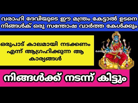 വരാഹി ദേവിയെ ജപിച്ച് ഈ മന്ത്രം ചൊല്ലിയാൽ നിങ്ങളുടെ ഏത് ആഗ്രഹവും നടക്കും…