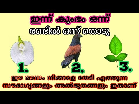 ഈ തന്ത്രം ഉപയോഗിച്ചാൽ ജീവിതത്തിൽ നടക്കാൻ പോകുന്ന കാര്യങ്ങളെക്കുറിച്ച് മനസ്സിലാക്കാം….