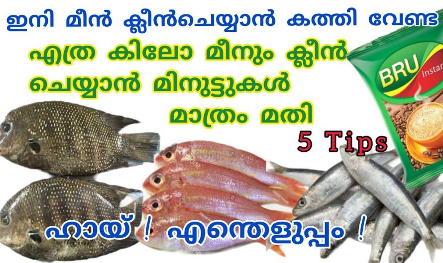 നിമിഷങ്ങൾക്കുള്ളിൽ എത്ര കിലോമീറ്റർ വേണമെങ്കിലും ക്ലീൻ ചെയ്യാം, ഈ സൂത്രം അറിഞ്ഞിരുന്നാൽ മതി…