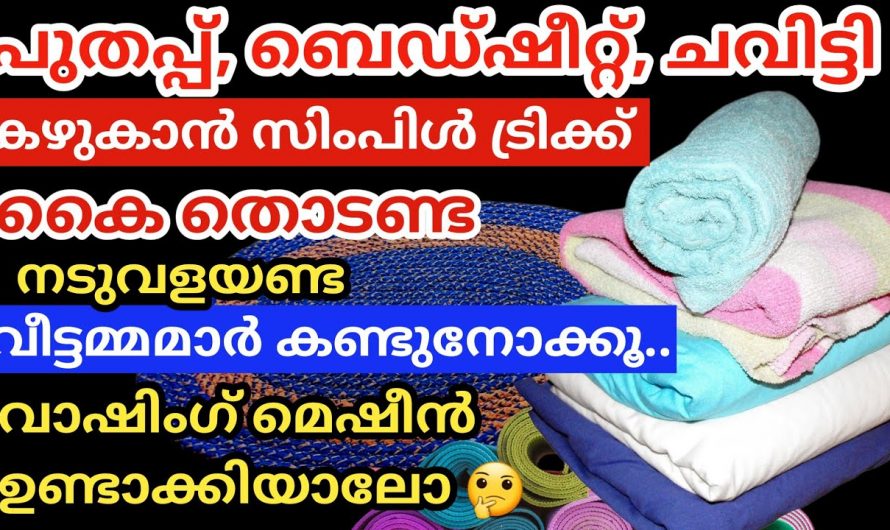 ഇനി പെട്ടെന്ന് പഴം ചീഞ്ഞുപോകും എന്ന പ്രശ്നമില്ല, ഇതാ ചില അടിപൊളി ടിപ്പുകൾ…