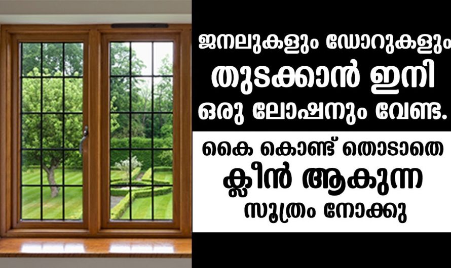 ജനലുകളും വാതിലുകളും ഇനി ഇടയ്ക്കിടെ വൃത്തിയാക്കേണ്ട, ഈ ടെക്നിക് ഒരു പ്രാവശ്യം ചെയ്തു നോക്കൂ…