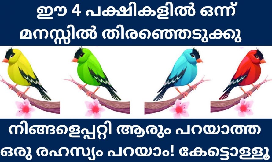 ഈ നാല് പക്ഷികളിൽ നിന്നും ഒരെണ്ണം തിരഞ്ഞെടുക്കു, നിങ്ങളെ പറ്റി ഒരു രഹസ്യം പറയാം…