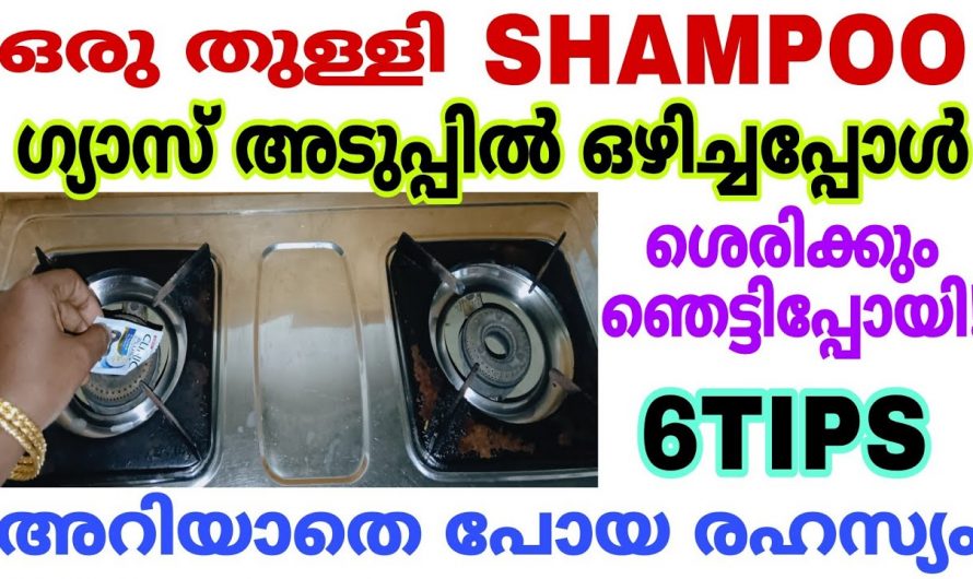 കുക്കറിൽ പാചകം ചെയ്യുന്നവർ ഉറപ്പായും ഇത് അറിഞ്ഞിരിക്കണം അല്ലെങ്കിൽ അപകടം ഉണ്ടാകും…