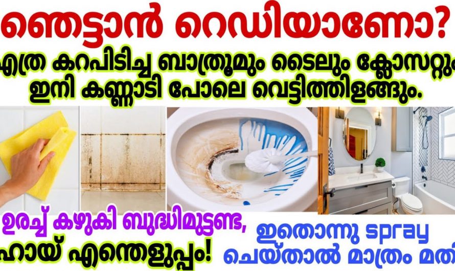 ഉരയ്ക്കാതെ തന്നെ ബാത്റൂം പുതു പുത്തൻ ആക്കി മാറ്റാം, ഈ ലിക്വിഡ് ഉപയോഗിക്കൂ…