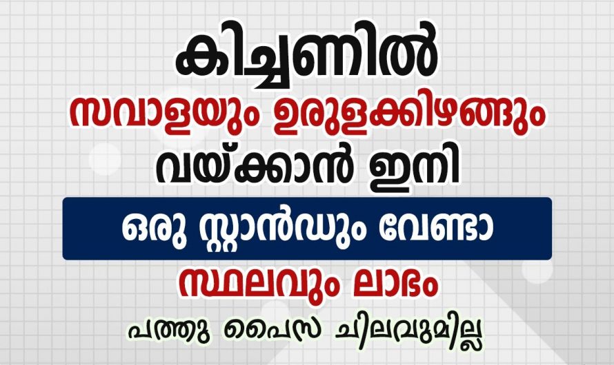 പച്ചക്കറി സൂക്ഷിക്കാൻ ഇനി സ്റ്റാൻഡ് വേണ്ട, ഒരു കഷ്ണം നെറ്റ് ഉണ്ടെങ്കിൽ മതി…