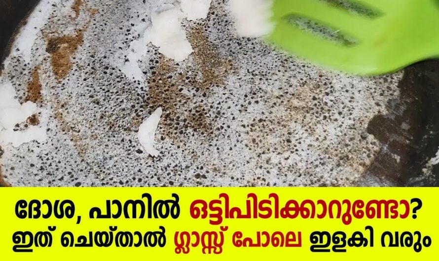 കോട്ടിംഗ് പോയ നോൺസ്റ്റിക് പാനിലും ദോശ ഉണ്ടാക്കാം, ഒരു കിടിലൻ ഐഡിയ…