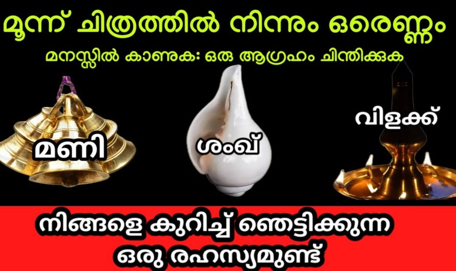 നിങ്ങൾ മനസ്സിൽ വിചാരിച്ച കാര്യം എപ്പോൾ നടക്കും എന്ന് അറിയുന്നതിന് ഇതിൽ നിന്നും ഒരെണ്ണം തിരഞ്ഞെടുക്കു…