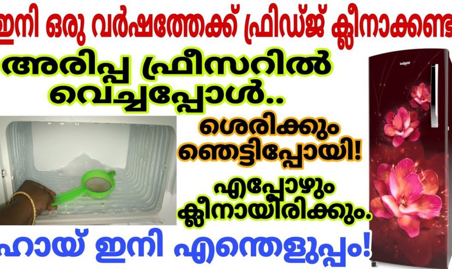 എത്ര ദിവസമായാലും തേങ്ങ ഫ്രഷ് ആയിരിക്കുവാൻ ഇത് ചേർത്തു കൊടുത്താൽ മതി…