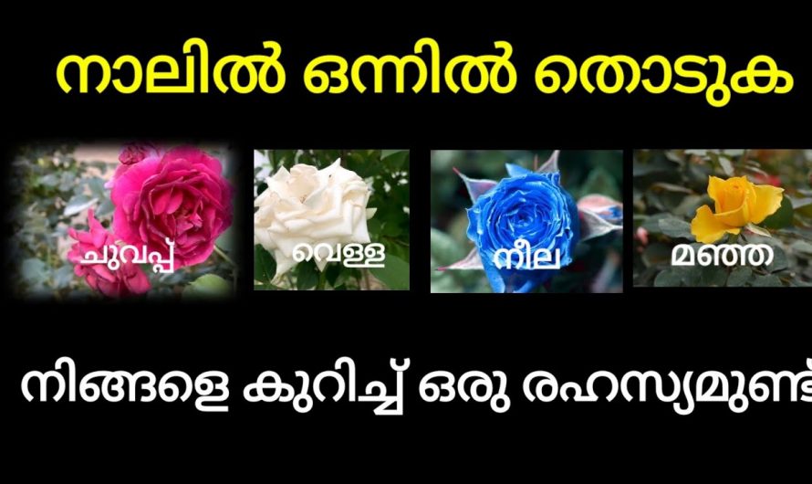 നിങ്ങളുടെ മനസ്സിലെ ആഗ്രഹം നടക്കുമോ എന്ന് അറിയുവാൻ നാലെണ്ണത്തിൽ നിന്നും ഒരെണ്ണം തിരഞ്ഞെടുക്കു…