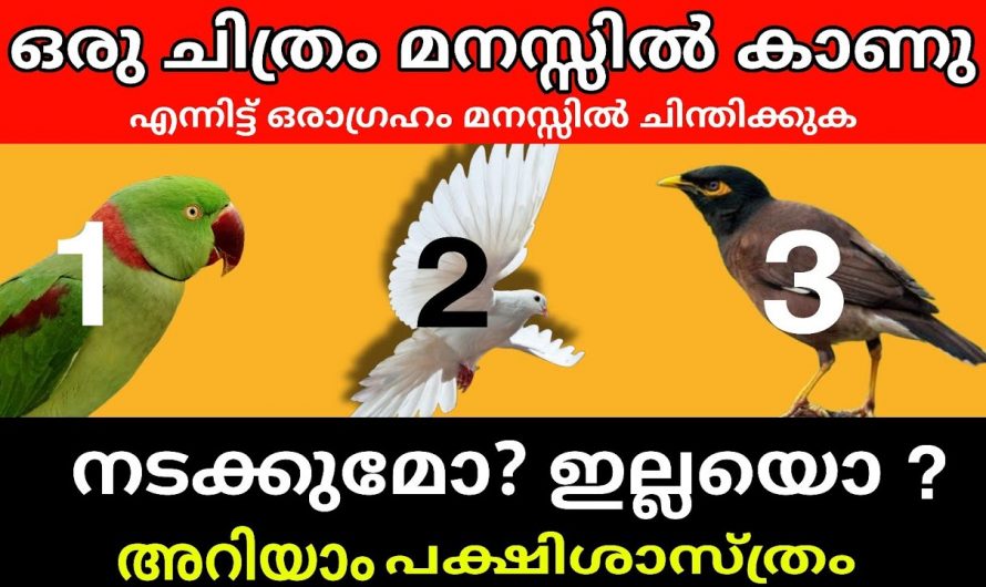 നിങ്ങളെ പറ്റിയുള്ള രഹസ്യം അറിയുവാൻ ഈ മൂന്ന് ചിത്രങ്ങളിൽ നിന്നും ഒന്നു തിരഞ്ഞെടുക്കുക…