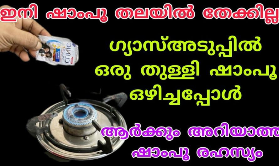 കർപ്പൂരം വീട്ടിൽ ഉണ്ടെങ്കിൽ പല്ലികളെ തുരത്താം, ആരും പറഞ്ഞു തരാത്ത ചില സൂത്രങ്ങൾ…