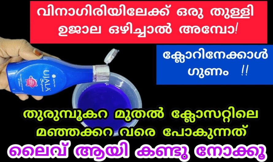 വീട്ടിലെ കറപിടിച്ച ഏതു വസ്തുവും ഈ സാധനം ഉണ്ടെങ്കിൽ പുതു പുത്തൻ ആക്കി മാറ്റാം…