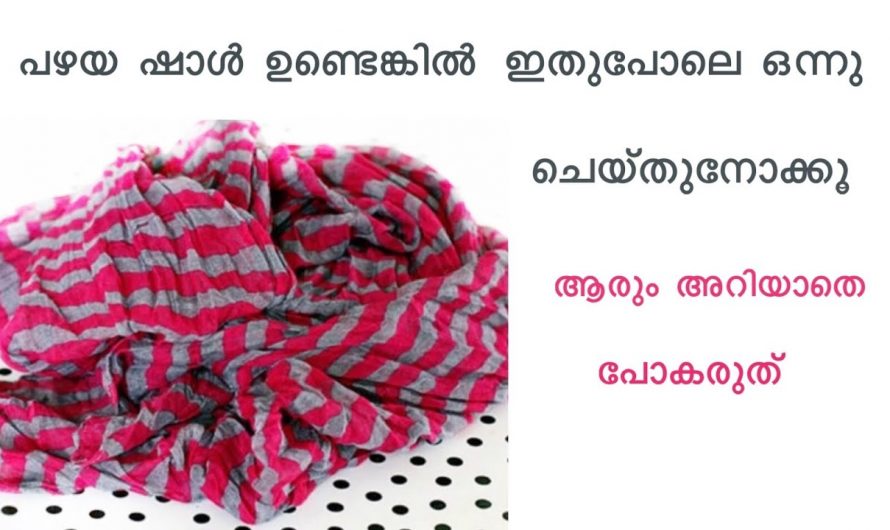 പഴയ ഷോൾ ഉണ്ടെങ്കിൽ ഒരു കിടിലൻ ഡോർ മാറ്റ് തയ്യാറാക്കാം, ആരും ചിന്തിക്കാത്ത ഒരു സൂത്രം…