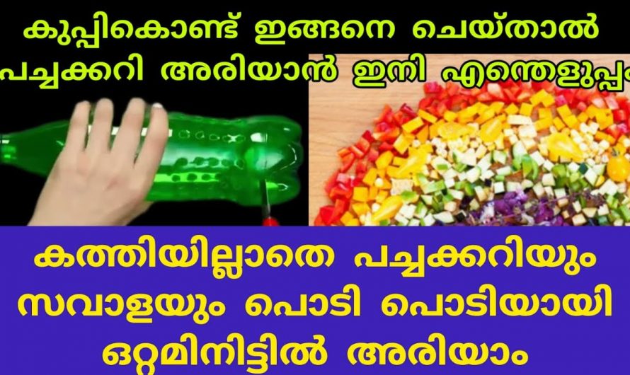 പച്ചക്കറി അറിയാൻ ഇനി ഒട്ടും മടി വേണ്ട, ഈ ടെക്നിക് പ്രയോഗിച്ചു നോക്കൂ..