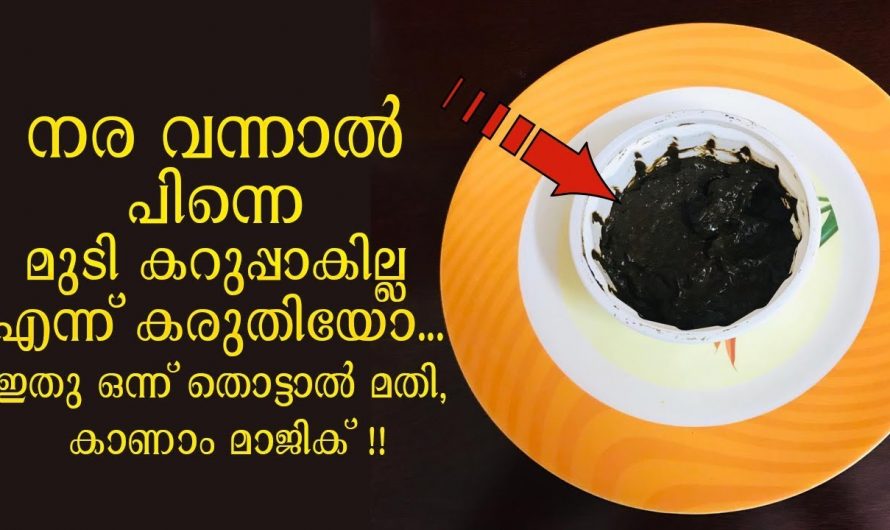 ഒറ്റ യൂസിൽ നരച്ച മുടി കറുത്ത് കിട്ടും, കുളിക്കുന്നതിനു മുൻപ് ഇതൊന്നു തലയിൽ തൊട്ടാൽ മതി…