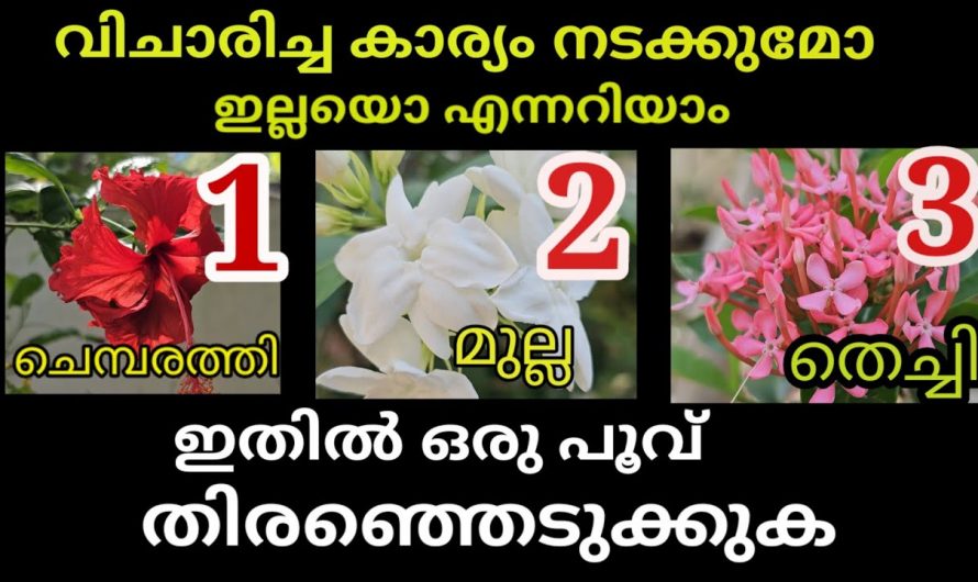 നിങ്ങൾ തിരഞ്ഞെടുക്കുന്ന ഒരു പൂവിലൂടെ നിങ്ങളുടെ ആഗ്രഹം നടക്കുമോ ഇല്ലയോ എന്ന് അറിയാം…