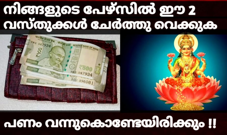 പേഴ്സിൽ എന്നും പണം ഉണ്ടാവാൻ ഈ രണ്ടു വസ്തുക്കൾ വച്ചാൽ മതി….