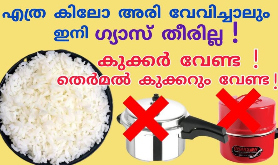 എത്ര കിലോ അരി വേണമെങ്കിലും ഗ്യാസ് ചിലവാക്കാതെ വേവിച്ചെടുക്കാം…