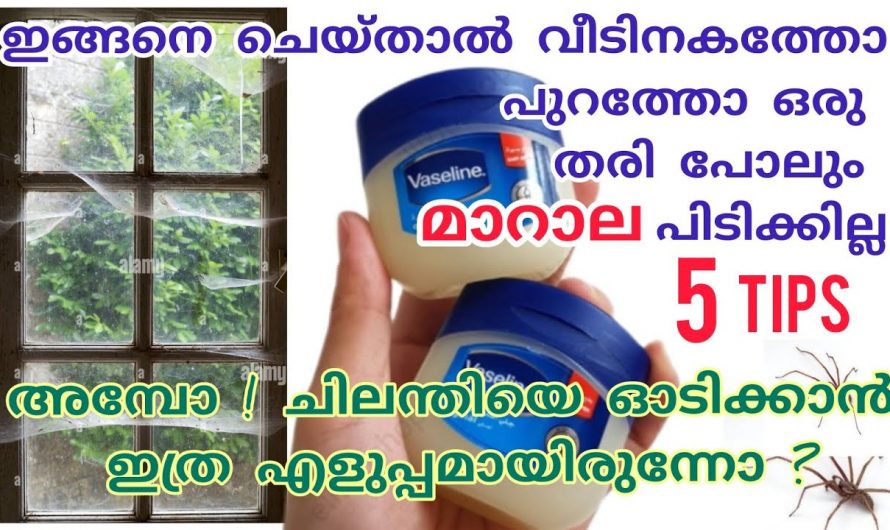 നിങ്ങൾ ഇതുവരെ ഇതൊന്നും അറിഞ്ഞില്ലേ! ഇനി വീട്ടിൽ ഒരിക്കലും മാറാല പിടിക്കില്ല…