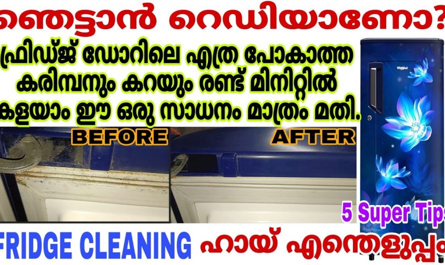 ഫ്രിഡ്ജ് ക്ലീൻ ആക്കാൻ ഇനി നിമിഷം നേരം മതി, ഇതാ ചില കിടിലൻ ടിപ്പുകൾ👌