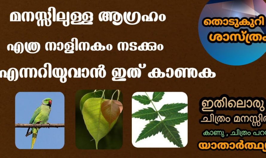 നിങ്ങളുടെ ആഗ്രഹം നടക്കുമോ ഇല്ലയോ എന്ന് അറിയുവാൻ മൂന്നിൽ നിന്നും ഒരെണ്ണം തിരഞ്ഞെടുക്കും…