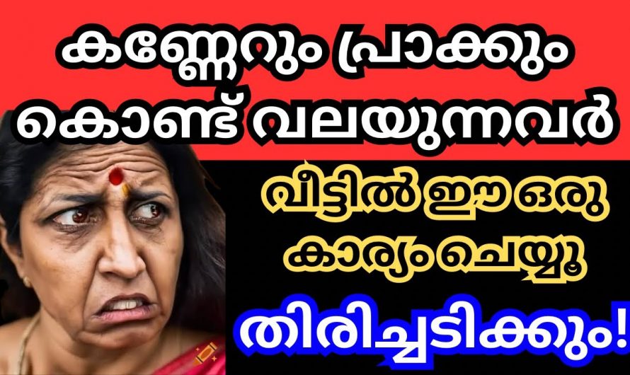 ഈ കർമ്മം വീട്ടിൽ ചെയ്താൽ നിങ്ങളുടെ ജീവിതത്തിലെ കണ്ണേറും പ്രാക്കും ഒഴിഞ്ഞു പോകും…