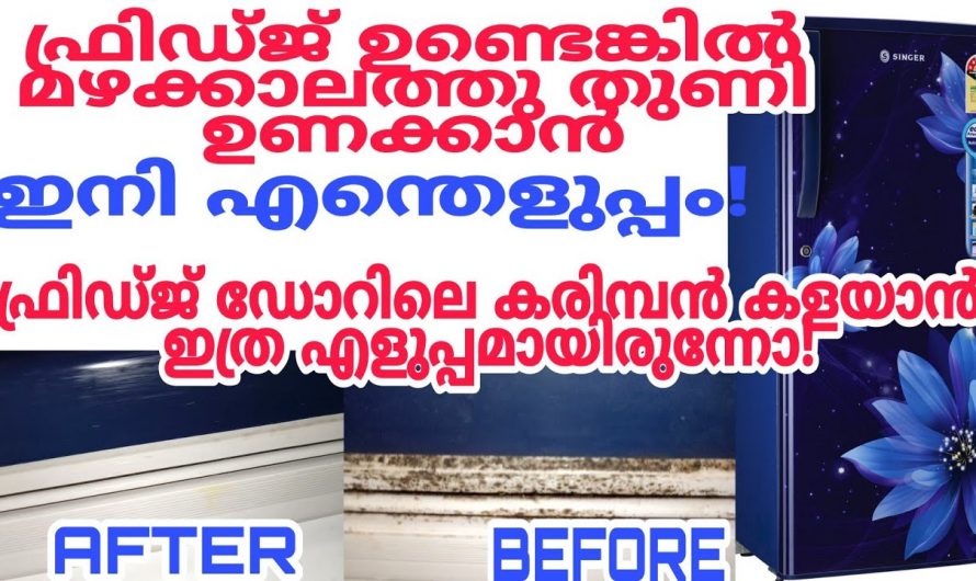 എത്ര പഴയ ഫ്രിഡ്ജും പുതുപുത്തൻ ആക്കി മാറ്റാം, ഈ സൊല്യൂഷൻ മതി…