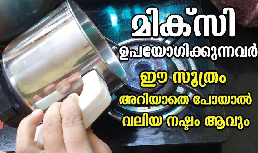 മിക്സി ഉപയോഗിക്കുന്നവർ ഉറപ്പായും ഇത് അറിഞ്ഞിരിക്കണം, അല്ലെങ്കിൽ പെട്ടെന്ന് തന്നെ കേടാകും…