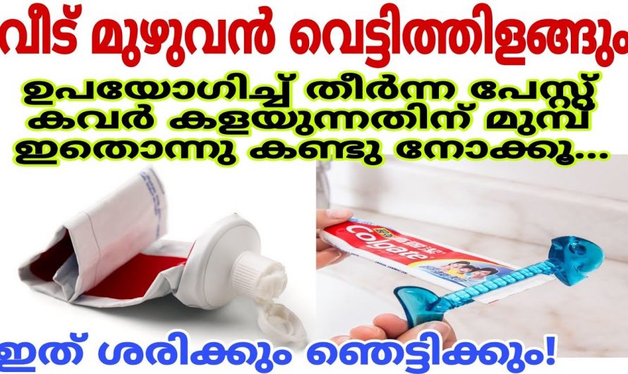 ഇനി ടൂത്ത് പേസ്റ്റിന്റെ കവർ കളയണ്ട, വീട് മുഴുവനും ക്ലീൻ ചെയ്യാൻ അതുമതി…