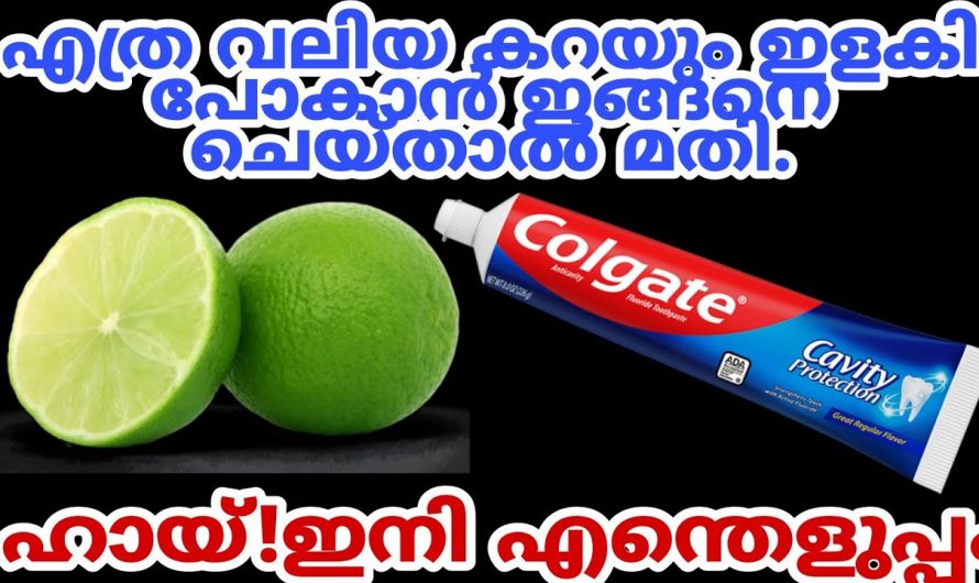 ഈ രണ്ടു സാധനങ്ങൾ വീട്ടിൽ ഉണ്ടെങ്കിൽ വീട് മുഴുവനും ക്ലീൻ ചെയ്യാം….😱