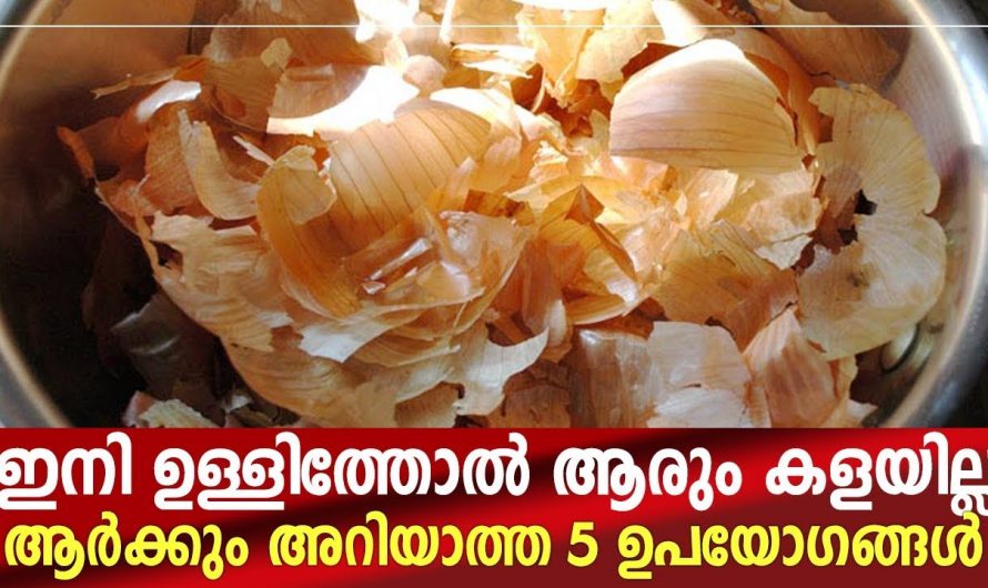 ഇനി ആരും ഉള്ളി തൊലി വെറുതെ കളയണ്ട, ശരീരത്തിലെ ഏതു വേദനയും അകറ്റാൻ ഇതു മതി…